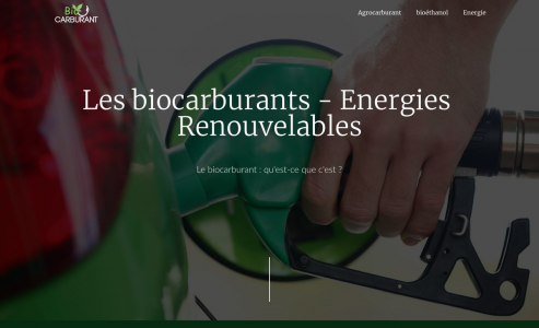 https://www.biocarburant.info