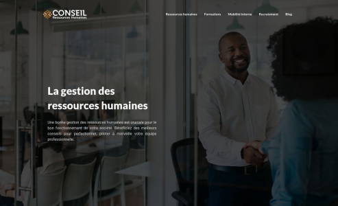 https://www.conseil-ressources-humaines.fr